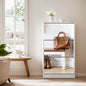 3 Tier Mirror Shoe Cabinet